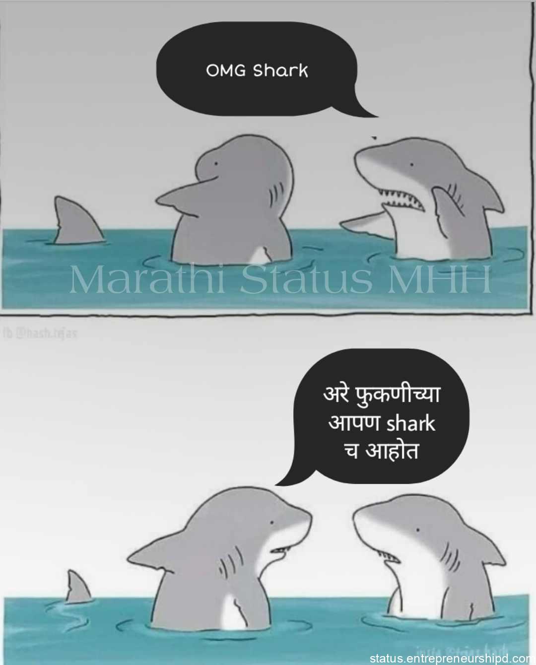 Shark Marathi memes funny