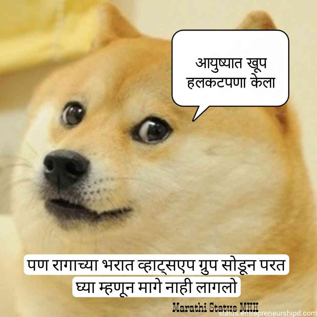 Dog photo Marathi memes
