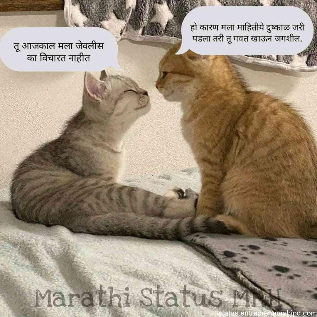 Love Marathi memes