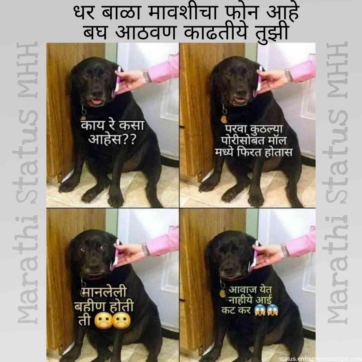 Marathi memes