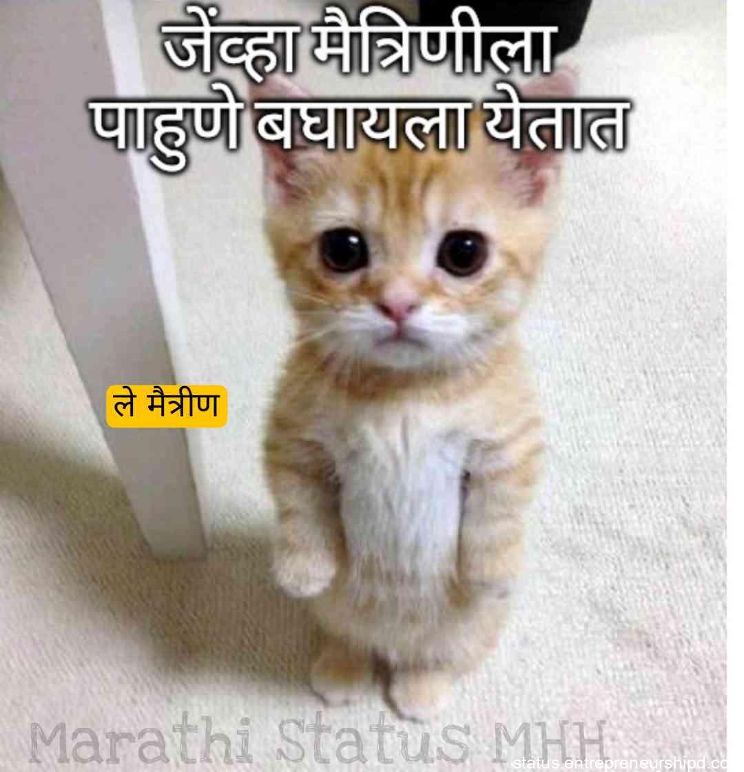 Marathi memes_ on girls