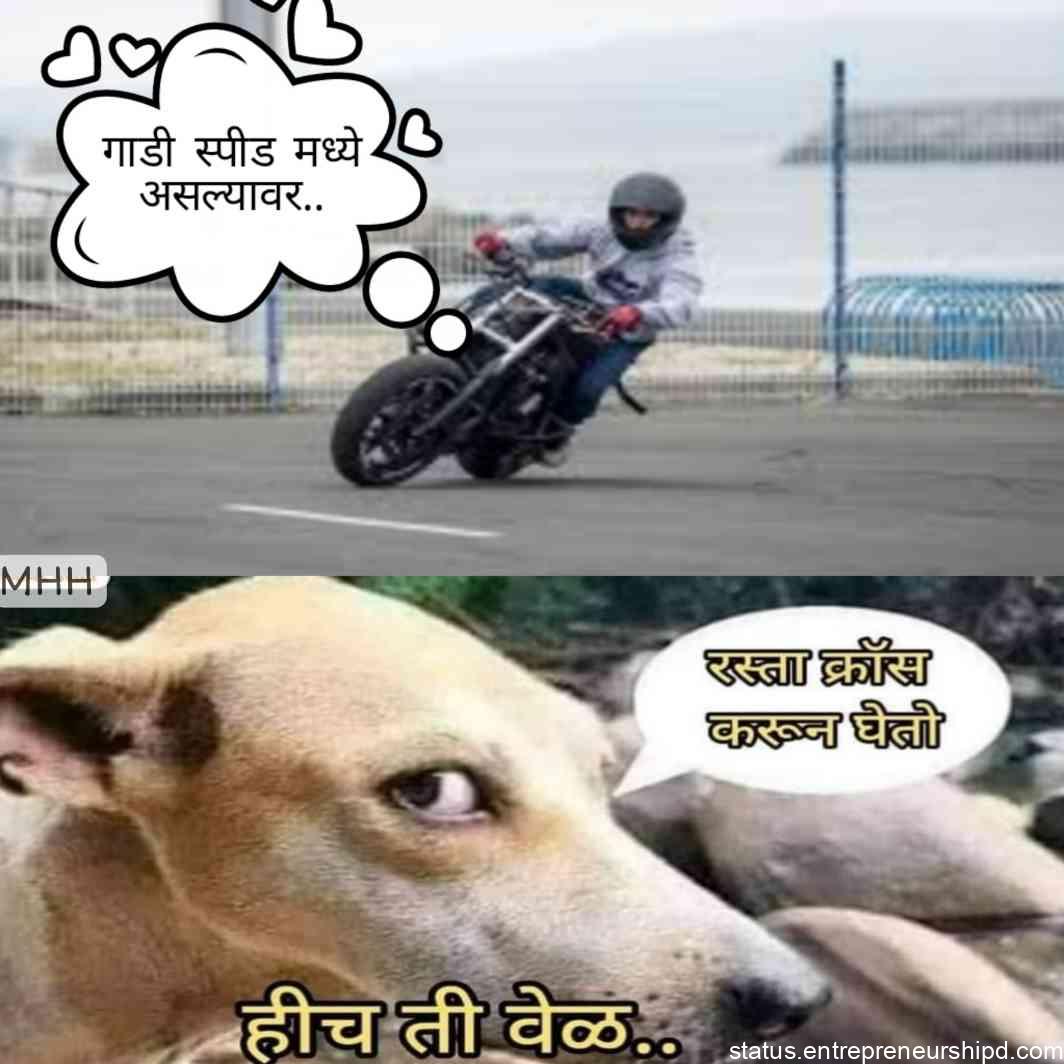 Dog photo Marathi memes