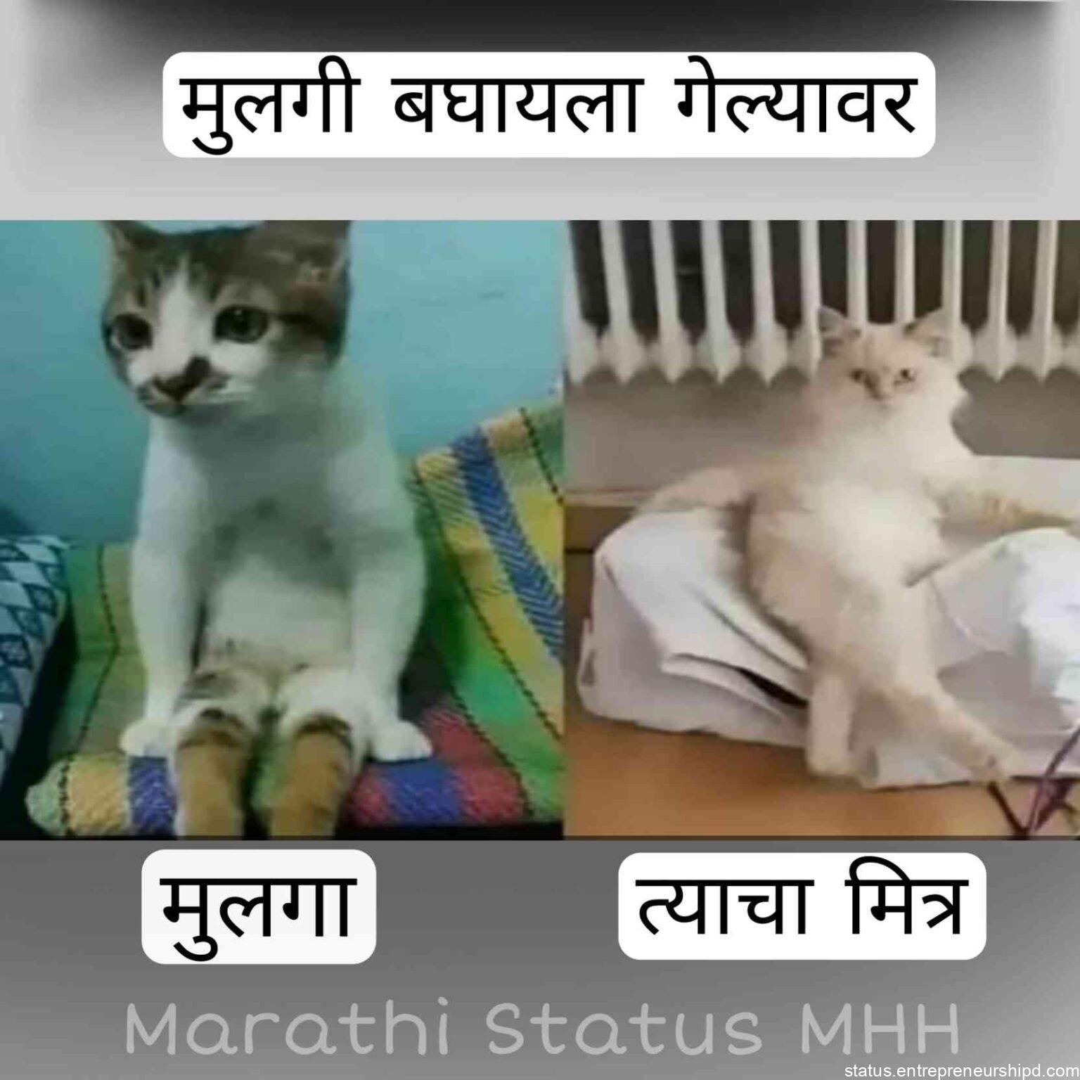 Marathi Memes Funny Memes Marathi, Text on Images. Marathi Status MHH